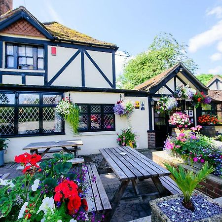 Ye Olde Red Lion Bed and Breakfast Newbury  Eksteriør billede
