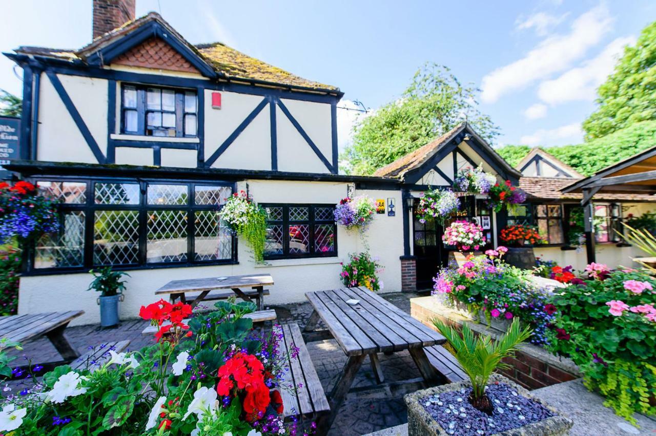 Ye Olde Red Lion Bed and Breakfast Newbury  Eksteriør billede